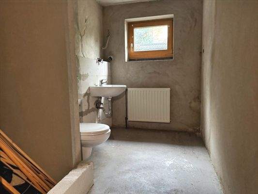 Tageslichtbad im Keller (nicht fertiggestellt)