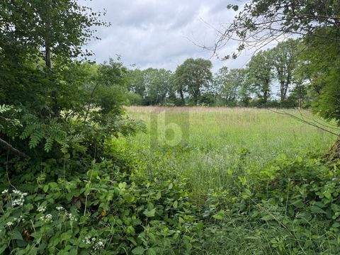 Lutzhorn Bauernhöfe, Landwirtschaft, Lutzhorn Forstwirtschaft