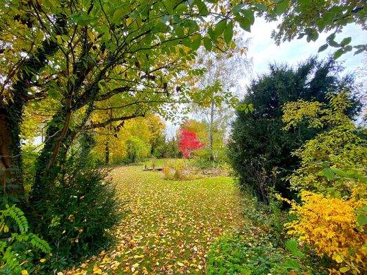 Grundstück - Blick Richtung SW