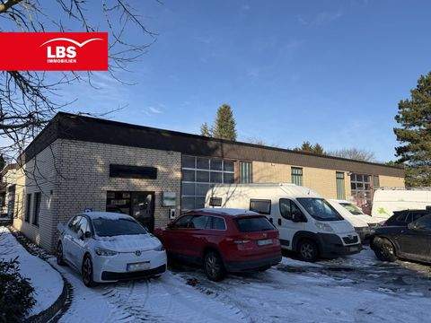 Bad Salzuflen Halle, Bad Salzuflen Hallenfläche