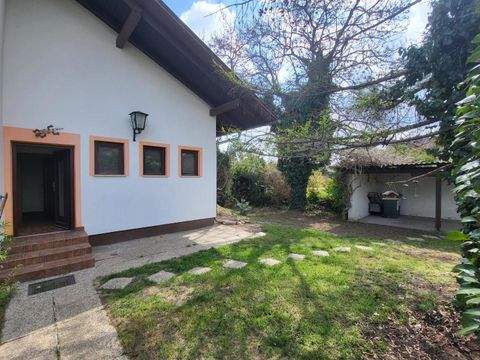 Katzelsdorf Häuser, Katzelsdorf Haus kaufen