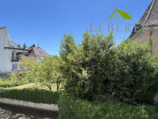 Aussicht ins Grüne EG