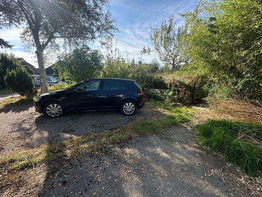 Garten/Auffahrt/Stellplatz