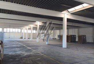 INFOS UNTER: 06171-586000