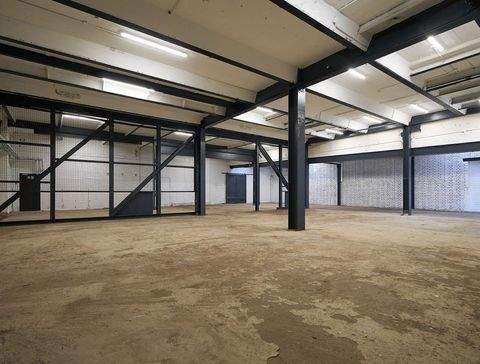 Köln Halle, Köln Hallenfläche