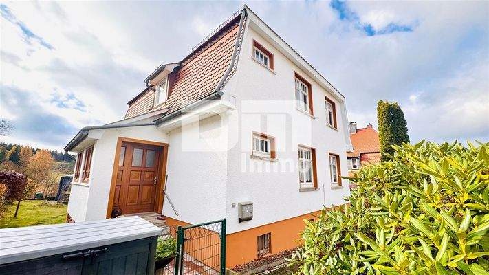 Seitenansicht / Haupteingang