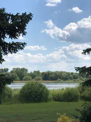 Blick auf den Beetzsee - idyllische Natur pur