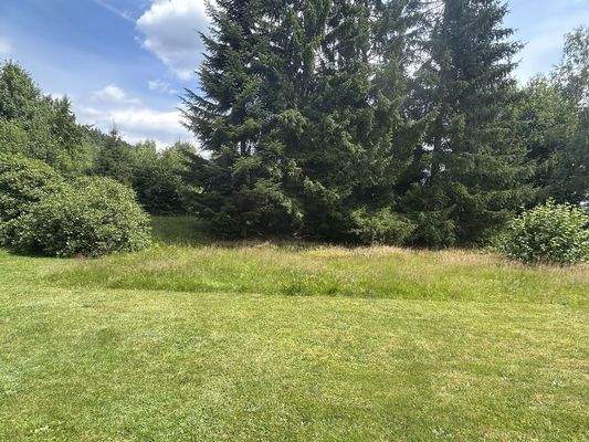 Uneinsehbar in die Natur