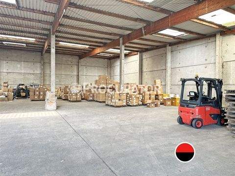 Hamburg Halle, Hamburg Hallenfläche