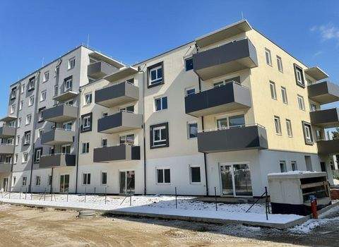 Wiener Neustadt Wohnungen, Wiener Neustadt Wohnung mieten