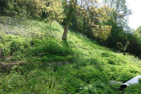Oberndorf am Neckar Grundstücke, Oberndorf am Neckar Grundstück kaufen