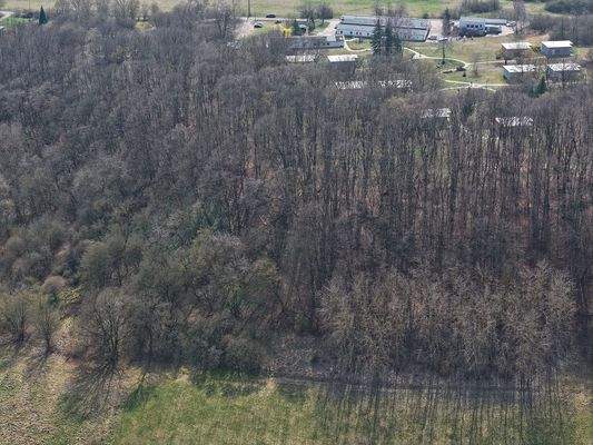 Blick auf die Baumkronen