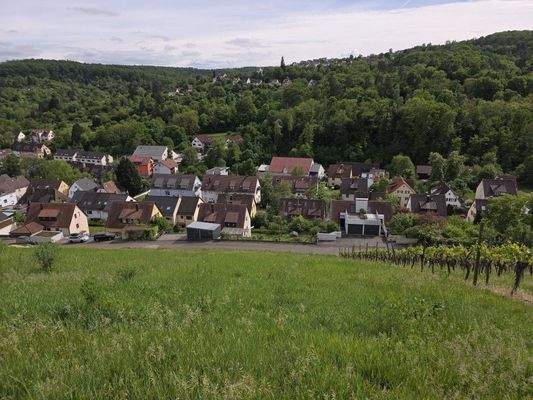 Aussicht nach Hedelfingen
