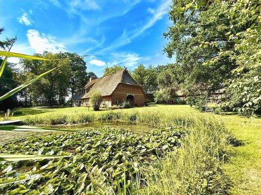 Seitenansicht Teichanlage & Haupthaus