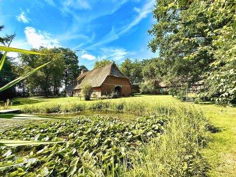 Bienenbüttel Häuser, Bienenbüttel Haus kaufen
