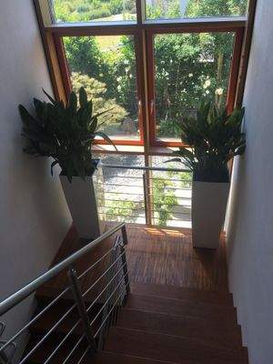 Trier-Kürenz-Petrisberg