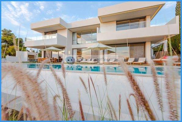 233ca4f241514871913a8edb8c222289-original