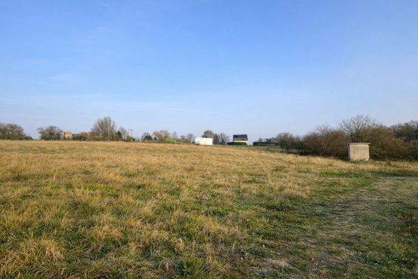 Grünes Grundstück für bunte Eigenheimträume