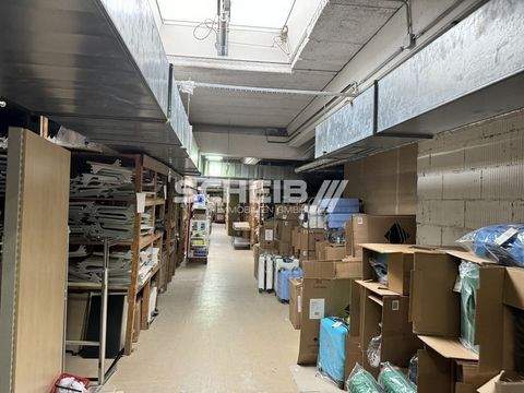 Crailsheim Halle, Crailsheim Hallenfläche