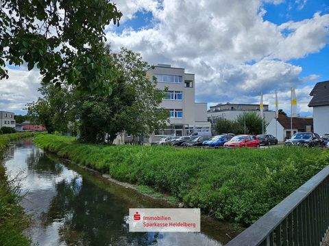 Sandhausen Wohnungen, Sandhausen Wohnung kaufen