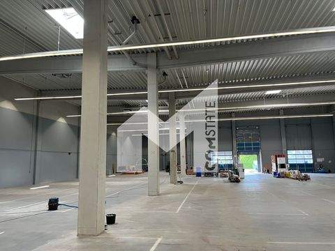 Dormagen Halle, Dormagen Hallenfläche