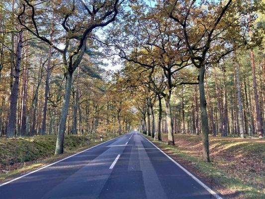 Straße nach Grüneberg