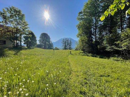 einzigartiger Bergblick