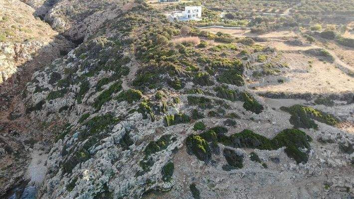 Kreta, Plaka: Erstklassiges Strandgrundstück mit Panoramablick zu verkaufen