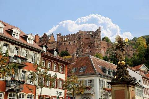 Heidelberg Häuser, Heidelberg Haus kaufen