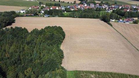 Mallersdorf-Pfaffenberg Grundstücke, Mallersdorf-Pfaffenberg Grundstück kaufen