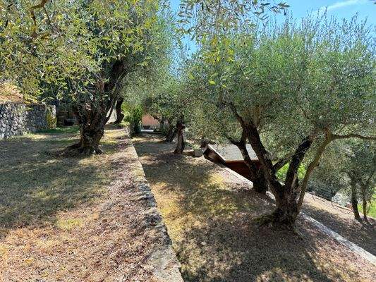 BO_1045_TERRA ITALIA IMMOBILIEN_REAL ESTATE_SEBORG