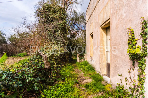 Schermata 2025-03-07 alle 12.05.04.png