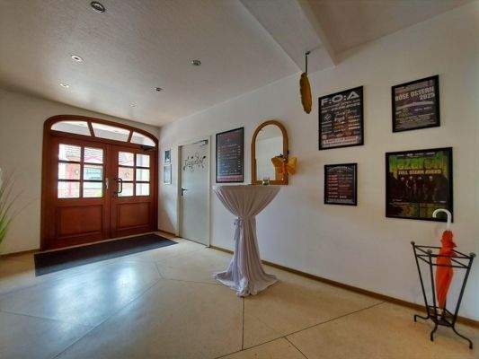 Diele mit großer Eingangtür - Ansicht I