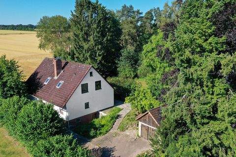 Bleckede Häuser, Bleckede Haus kaufen