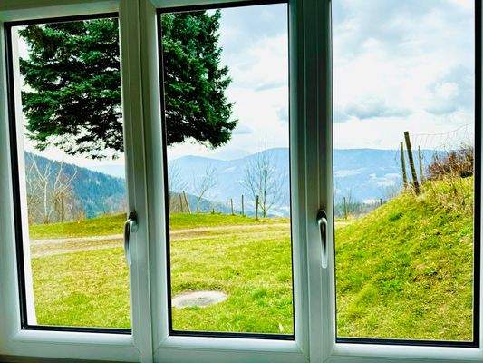 Aussicht von der Küche (EG)