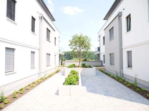 Nierstein Wohnungen, Nierstein Wohnung mieten