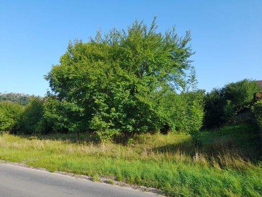 Grundstück von Süden