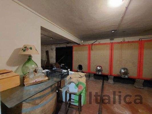 20240417_095910 (Kopie).jpg