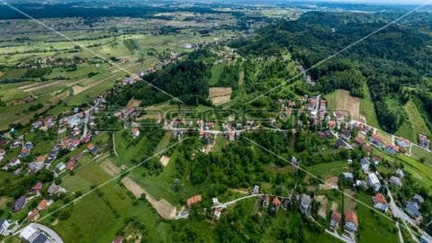 Sveti Ivan Zelina center Bauernhöfe, Landwirtschaft, Sveti Ivan Zelina center Forstwirtschaft