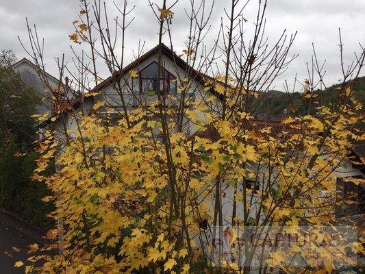 Das Mehrfamilienhaus von Außen