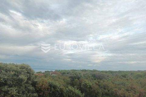 Silba - Olib - Premuda Bauernhöfe, Landwirtschaft, Silba - Olib - Premuda Forstwirtschaft