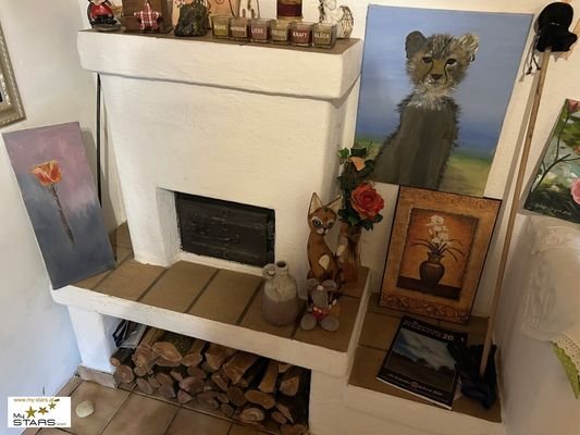 Bild 15