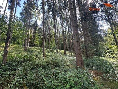 Obersinn Bauernhöfe, Landwirtschaft, Obersinn Forstwirtschaft