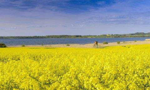 Nordwestmecklenburg - Landkreis - Dassow Grundstücke, Nordwestmecklenburg - Landkreis - Dassow Grundstück kaufen