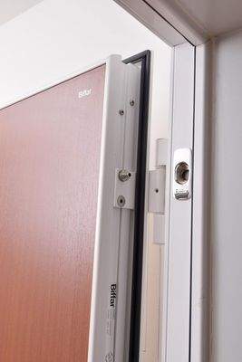 Gepanzerte Wohnungstür Biffar