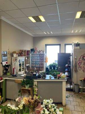 Verkaufsfläche (7).jpg