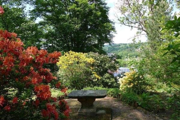 ...angelegter Gartenbereich