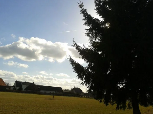 weitläufiges Grundstück.PNG