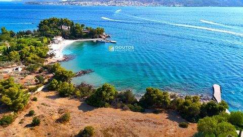 ????? Grundstücke, ????? Grundstück kaufen