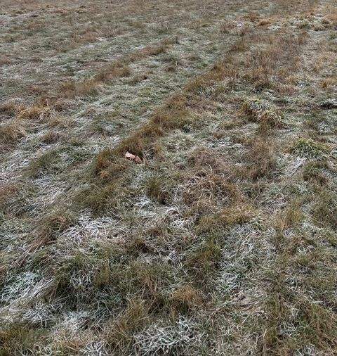 Nohra Grundstücke, Nohra Grundstück kaufen